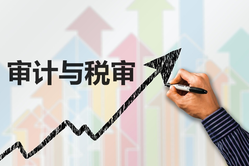稅審報(bào)告和審計(jì)報(bào)告是什么？對(duì)企業(yè)有什么好處？兩者有什么區(qū)別