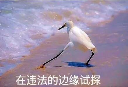 一個廣告被罰30萬！深圳發(fā)出廣告宣傳導向?qū)彶椤笆睢保? width=