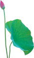 公司買的桶裝水，會(huì)計(jì)竟然錯(cuò)誤的計(jì)入“職工福利費(fèi)”！ 