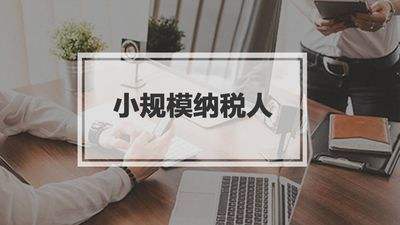 小規(guī)模納稅人有銷(xiāo)無(wú)進(jìn)，未提供任何進(jìn)項(xiàng)將要嚴(yán)查！